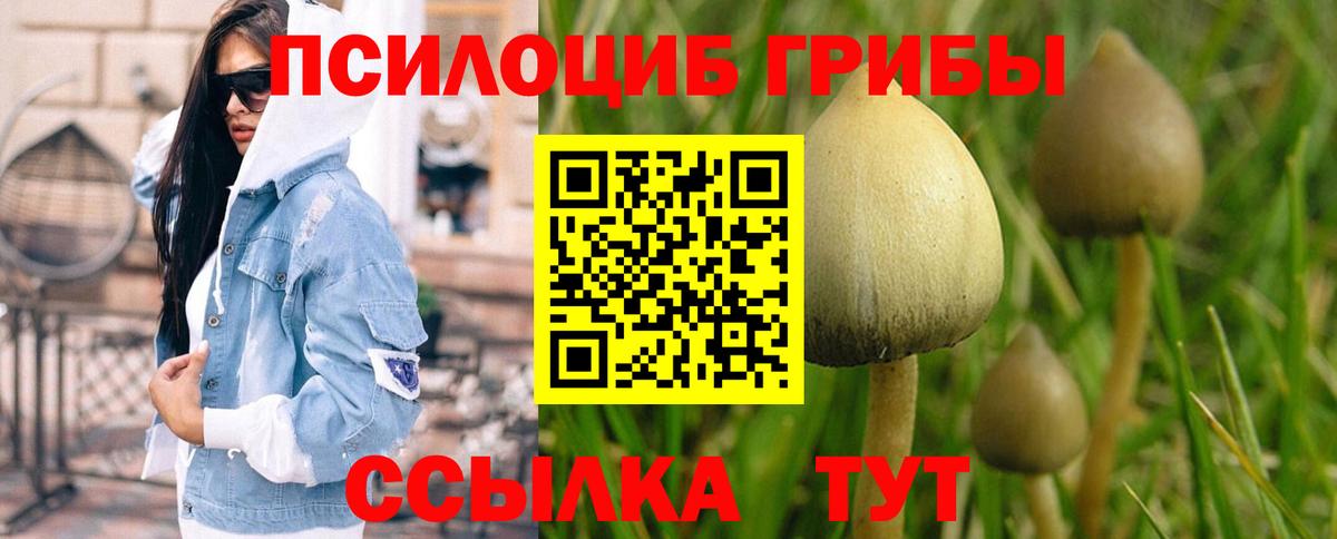 Псилоцибиновые грибы GOLDEN TEACHER  Вход с VPN  закладки  Псилоцибиновые грибы MAGIC MUSHROOMS  Острогожск 
